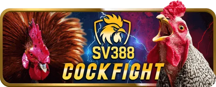 Đá gà Go88